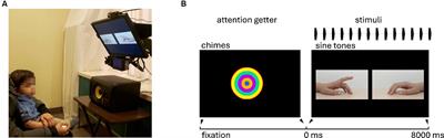 Infant attention to rhythmic audiovisual synchrony is modulated by stimulus properties